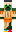 skin of a player
