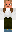 skin of a player