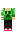 skin of a player