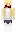 skin of a player