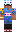 skin of a player