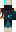 skin of a player