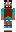 skin of a player