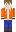 skin of a player