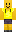 skin of a player