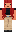 skin of a player