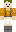 skin of a player