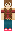 skin of a player