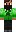 skin of a player