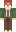 skin of a player