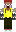 skin of a player