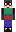skin of a player