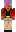 skin of a player