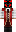 skin of a player