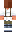 skin of a player
