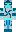 skin of a player