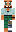 skin of a player