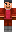 skin of a player