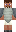 skin of a player