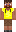 skin of a player