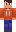 skin of a player