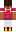 skin of a player