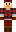 skin of a player