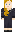 skin of a player
