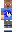 skin of a player