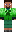 skin of a player
