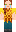 skin of a player