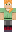 skin of a player