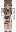 skin of a player