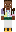 skin of a player