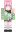 skin of a player