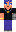 skin of a player