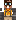 skin of a player