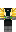 skin of a player