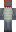 skin of a player