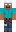 skin of a player