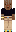 skin of a player