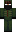 skin of a player