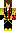 skin of a player