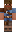 skin of a player