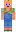 skin of a player