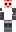 skin of a player