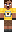 skin of a player