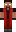 skin of a player