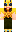 skin of a player