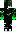 skin of a player